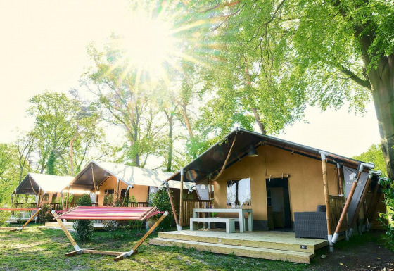 Tiendas safari en Wilsumer Berge, Alemania, con luz solar entre los árboles y rodeadas de naturaleza verde.