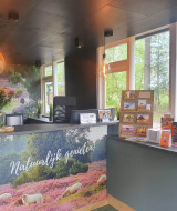 Recepción del Camping het Horstmannsbos en Drenthe, Países Bajos, con folletos y decoración floral.