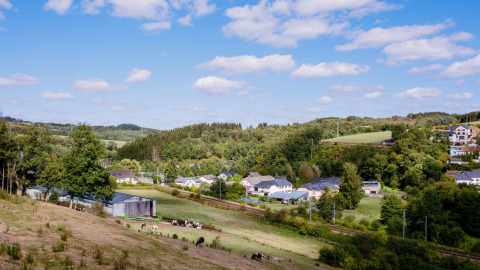 Scenic view of Camping Val d'Or in Wiltz, Luxembourg, with green fields, houses, cows, and rolling wooded hills.