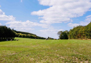 Prato verde con rotoballe e alberi sotto un cielo blu al Camping Val d'Or, Wiltz, Lussemburgo.