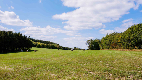 Green field with hay bales and trees under a blue sky at Camping Val d'Or in Wiltz, Luxembourg.