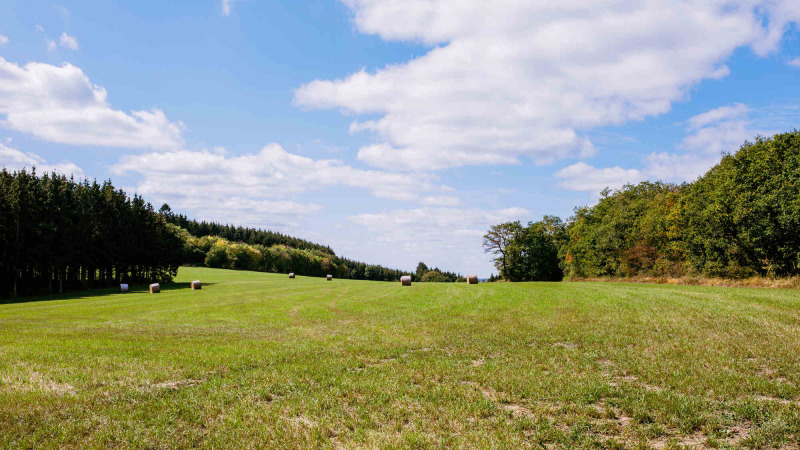 Grüne Wiese mit Heuballen und Bäumen unter blauem Himmel im Camping Val d'Or, Wiltz, Luxemburg.