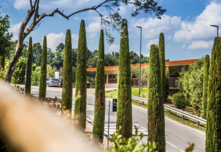 Ingresso al villaggio turistico hu Norcenni Girasole Village in Toscana, Italia, con cipressi lungo la strada.
