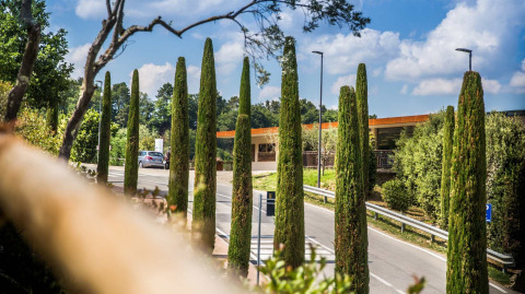 Entrada al parque vacacional hu Norcenni Girasole Village en la Toscana, Italia, bordeada de cipreses altos.