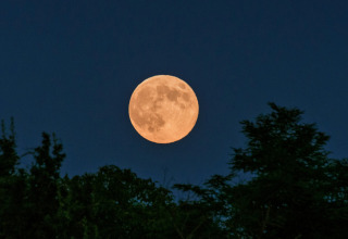 Full moon rising above treetops at night at Norcenni Girasole Village, a holiday park in Tuscany, Italy.