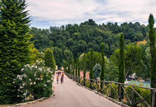 Wandelpad met bomen en mensen in hu Norcenni Girasole Village vakantiepark in Toscane, Italië.
