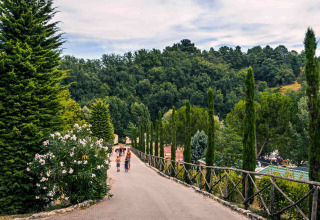 Viale alberato con persone che camminano al hu Norcenni Girasole Village, parco vacanze in Toscana.
