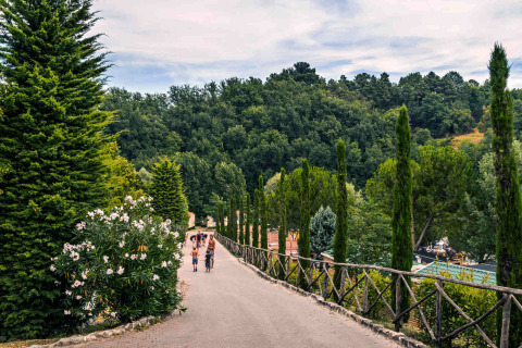 Allée bordée d'arbres et de promeneurs au hu Norcenni Girasole Village, un parc de vacances en Toscane.