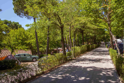 Wandelpad met bomen langs hu Norcenni Girasole Village vakantiepark in Toscane, Italië, met zon en groen.