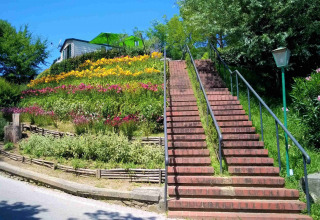 Trappe med røde mursten ved farverige blomster og en grøn have i Norcenni Girasole Village, Toscana.