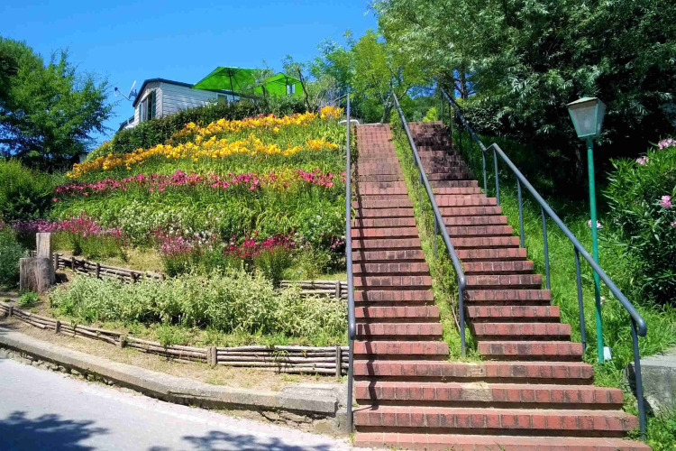 Escalier en briques à côté de fleurs colorées à Norcenni Girasole Village, en Toscane, Italie.