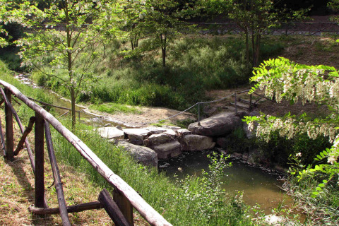 Vista de arroyo y puente de piedra rodeados de vegetación en hu Norcenni Girasole Village, Toscana, Italia.