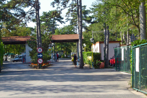 Entrada al Camping Village Mare Pineta, rodeada de árboles y edificios, en Friuli-Venezia Giulia, Italia.