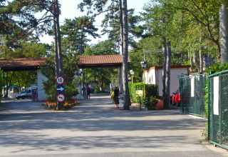 Indgang til Camping Village Mare Pineta feriepark med grønne træer og bygninger i Friuli-Venezia Giulia, Italien.