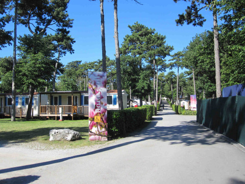 Camino soleado entre árboles y casas móviles en Camping Village Mare Pineta, Friuli-Venezia Giulia, Italia.