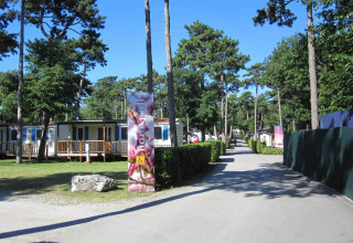 Sunny path lined with trees and mobile homes at Camping Village Mare Pineta, Friuli-Venezia Giulia, Italy.