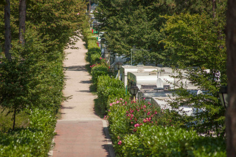 Chemin bordé de verdure et caravanes au Camping Village Mare Pineta, Friuli-Venezia Giulia, Italie.