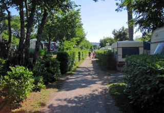 Sentiero tra siepi e roulotte al Camping Village Mare Pineta in Friuli-Venezia Giulia, Italia, in una giornata soleggiata.