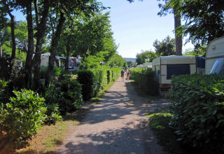 Pathway between hedges and caravans at Camping Village Mare Pineta, Friuli-Venezia Giulia, Italy, on a sunny day.