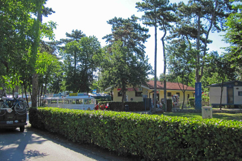 Día soleado en Camping Village Mare Pineta, parque vacacional con árboles, arbustos, autos y cabañas en Italia.