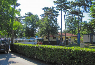 Solrig dag i Camping Village Mare Pineta, feriepark med træer, buske, biler og hytter i Italien.