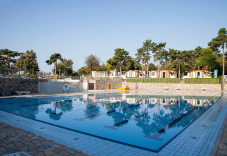 Piscina exterior en Camping Village Mare Pineta en Friuli-Venezia Giulia, Italia, rodeada de árboles y cabañas.