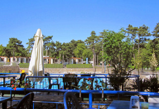 Vue sur la piscine et la terrasse du Camping Village Mare Pineta, entourée de pins et de chalets de vacances.