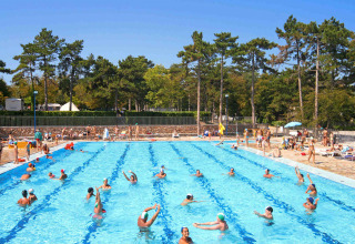 Udendørs swimmingpool med gæster, der svømmer og slapper af, omgivet af fyrretræer i Italien.