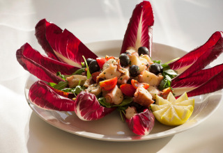 En farverig italiensk salat med blæksprutte, radicchio, oliven, tomater og citron på en hvid tallerken.