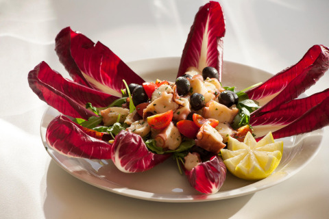 Kleurrijke Italiaanse salade met octopus, radicchio, olijven, tomaten en citroen op een wit bord.
