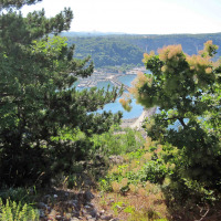 Vista entre árboles frondosos hacia un puerto cercano a Sistiana en Friuli-Venezia Giulia, Italia, en un día soleado.