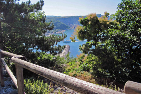 Vista panoramica sul porto e mare tra gli alberi al Camping Village Mare Pineta, Italia.