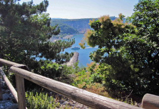 Vista panoramica sul porto e mare tra gli alberi al Camping Village Mare Pineta, Italia.