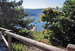Scenic view of the harbor and water through trees at Camping Village Mare Pineta, Italy.