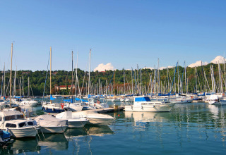 Docked sailboats and motor yachts at Camping Village Mare Pineta in Friuli-Venezia Giulia, Italy, with forested hills.