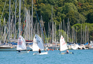 Des enfants naviguent sur de petits bateaux devant une marina à Mare Pineta, Frioul-Vénétie Julienne, Italie.