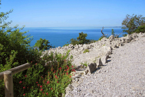 Vista sul mare azzurro e paesaggio roccioso da un sentiero al Camping Village Mare Pineta, Friuli Venezia Giulia.