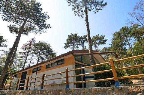 Casa vacanza al Camping Village Mare Pineta, circondata da alti pini in Friuli-Venezia Giulia, Italia.