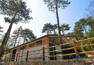 Feriehus i Camping Village Mare Pineta, omgivet af høje fyrretræer i Friuli-Venezia Giulia, Italien.