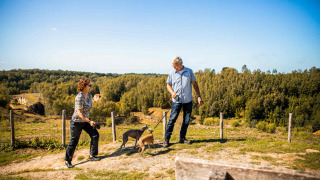 Dos personas pasean con dos perros y disfrutan de la naturaleza en Resort Mooi Bemelen, Limburg, Países Bajos.