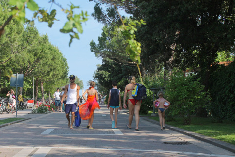 Famiglie in costume da bagno passeggiano lungo il viale alberato di Camping Pra'delle Torri, Veneto, Italia.