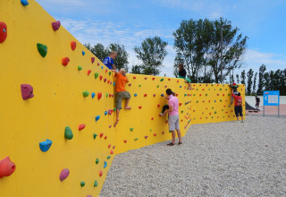 Children and adults climbing colorful climbing wall at Camping Pra'delle Torri holiday park in Veneto, Italy.