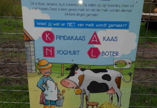 Educatief bord over koeien en melk op Camping De Gouwe Stek in Noord-Holland, Nederland.
