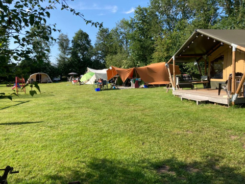 Escena de camping en Camping de Berghoeve, Drenthe, Países Bajos, con tiendas de campaña y césped.