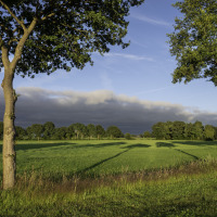 Zonnige groene weide in een vakantiepark met glamping, hoge bomen en blauwe lucht op de achtergrond.