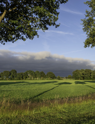 Paisaje soleado en un parque de vacaciones con glamping, césped verde y árboles altos bajo cielo azul.