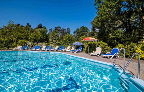 Piscina al aire libre con tumbonas y sombrillas rodeada de vegetación en Buitencentrum Hessenheem, Países Bajos.
