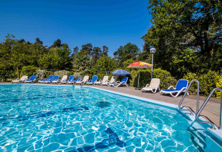 Udendørs swimmingpool med liggestole og parasoller omgivet af grønne træer i Buitencentrum Hessenheem.