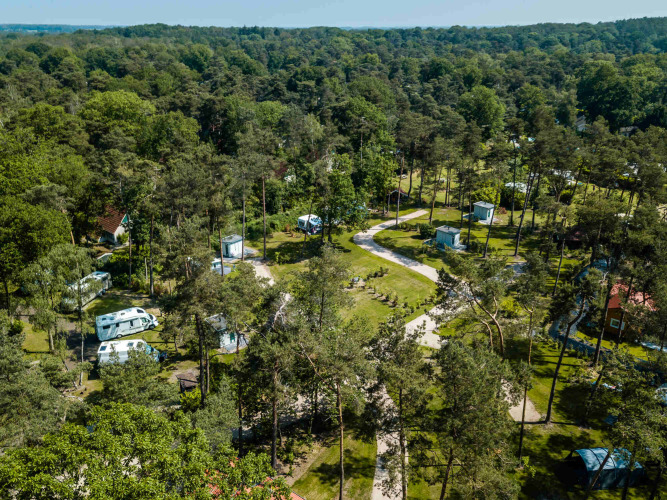 Aerial view of Buitencentrum Hessenheem holiday park in Overijssel, Netherlands, nestled in a forest area.
