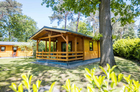 Cabaña de madera con porche delantero, rodeada de árboles y vegetación en Buitencentrum Hessenheem.